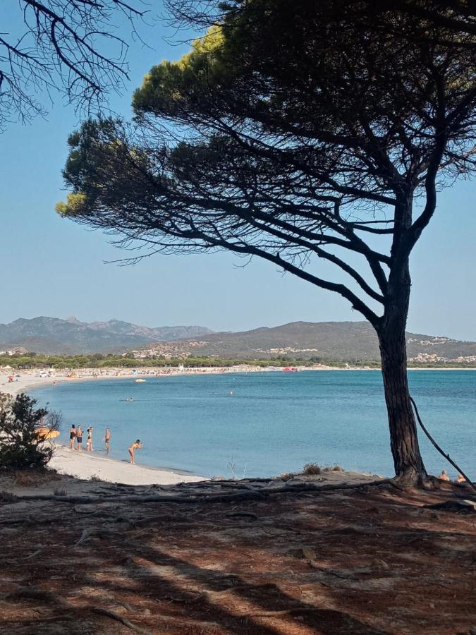 Casabellavista Daire Budoni Dış mekan fotoğraf