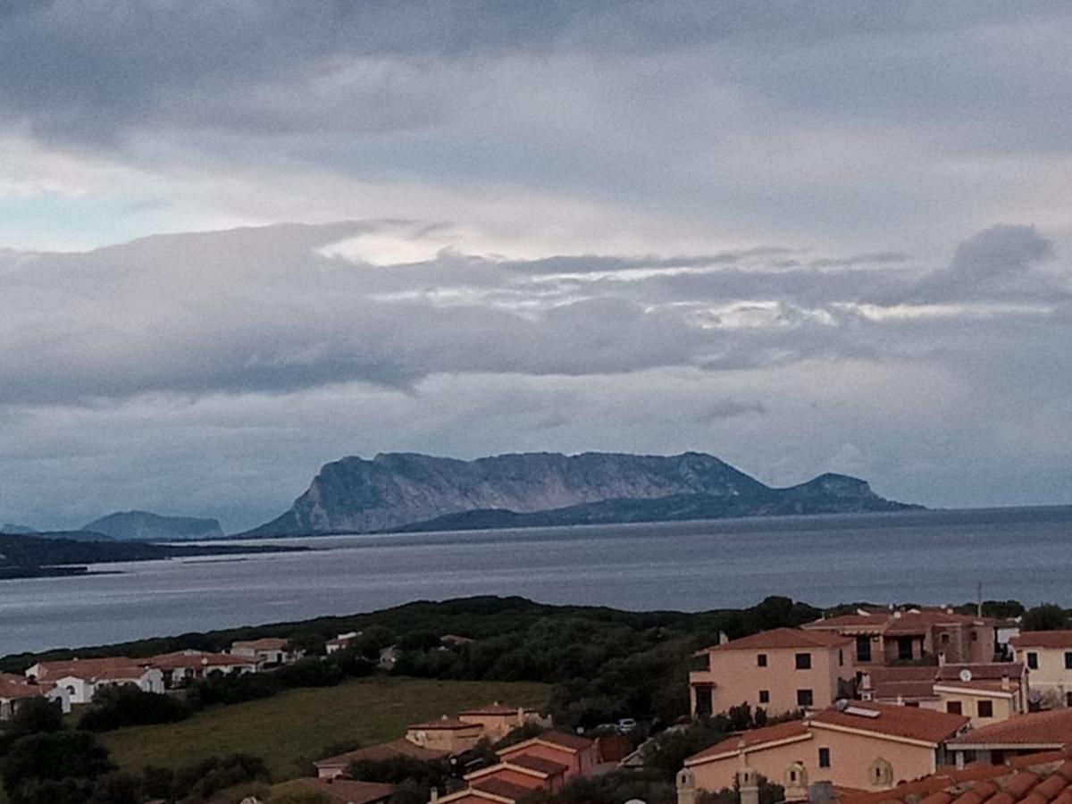 Casabellavista Daire Budoni Dış mekan fotoğraf