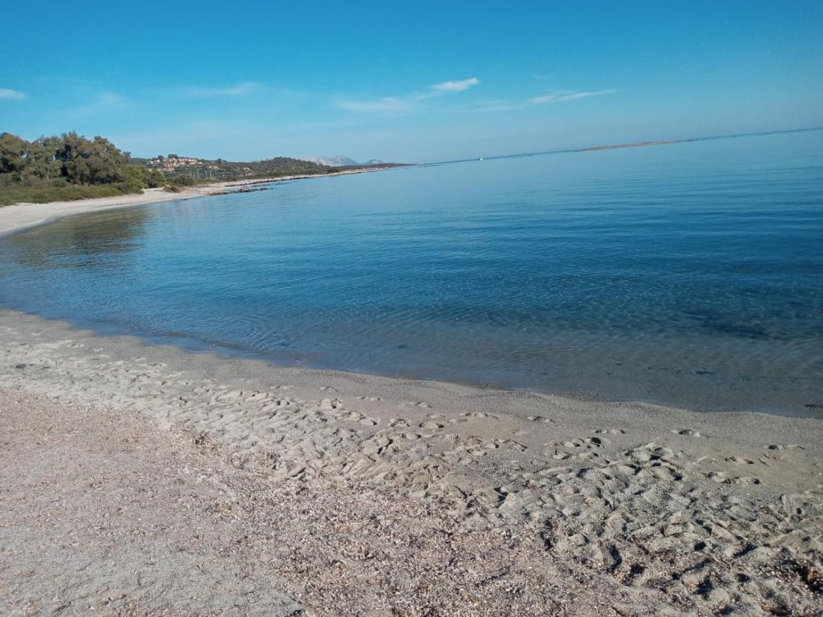Casabellavista Daire Budoni Dış mekan fotoğraf